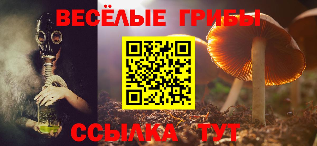 Галлюциногенные грибы MAGIC MUSHROOMS Родники