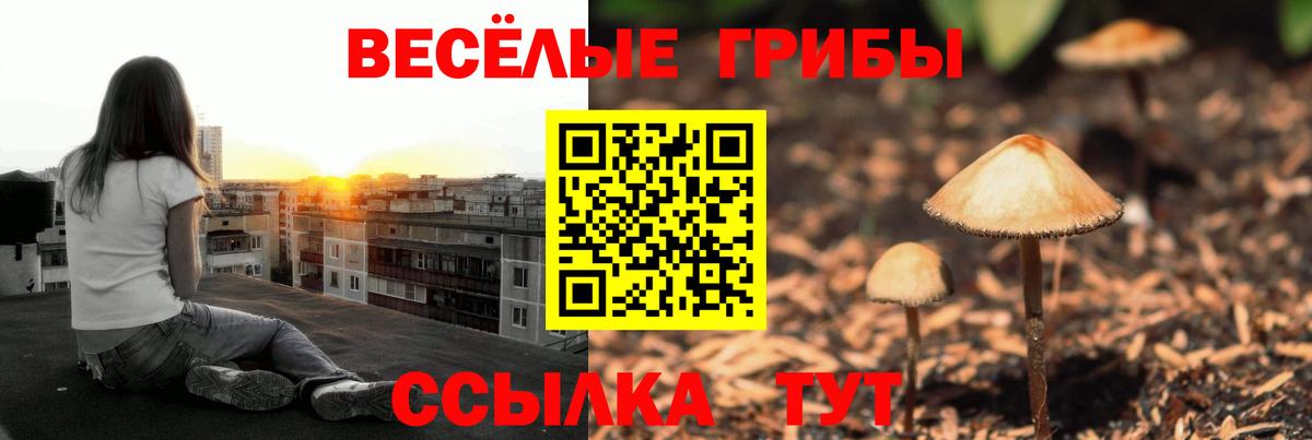 купить наркотики цена  Вход с VPN  Родники  Псилоцибиновые грибы Magic Shrooms 